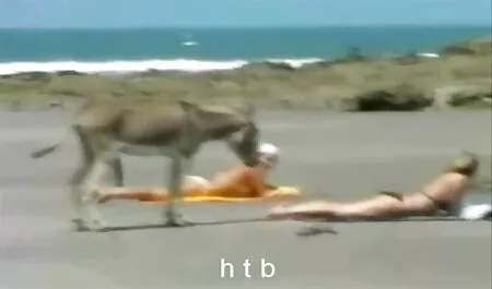 ورزش روسیه به sexخواهر وبرادر یک دوست برای یک رابطه جنسی ماساژ, سرگرمی.