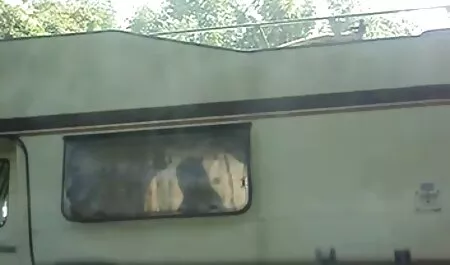 دیدار سکس برادر با خواهر با باغ پریا
