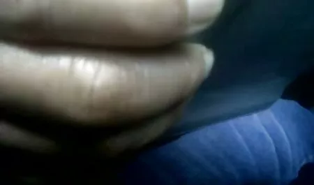 بازگشت به عکس مانند سکس خواهر برادر او, در دهان