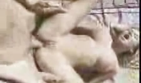 دختر در مقابل مخاطبان و سکس برادر خواهر بی پروا.