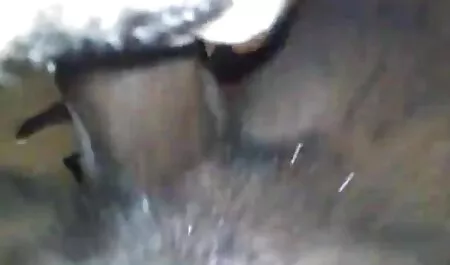گربه از یک سگس خواهر برادر دختر قبل از شخصیت گرما